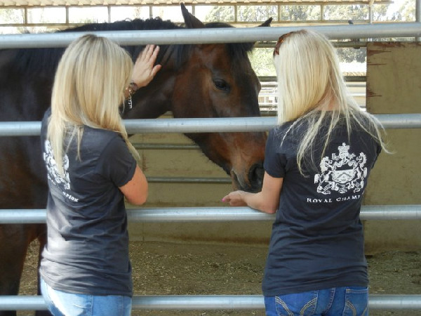 Megan Cavan and Samantha Penley of Royal Champion Supplements