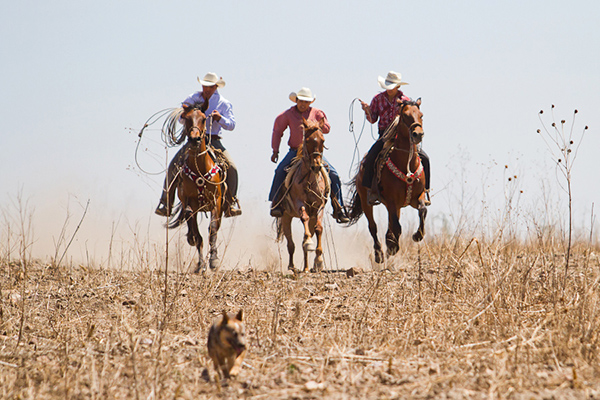 Mexican vaqueros at Xotolar Ranch