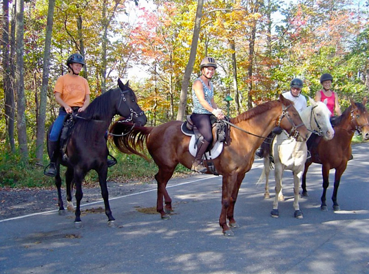 mohonk preserve trail riding horseback