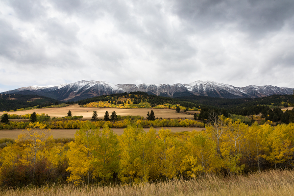 mountains and pasture scenic in montana