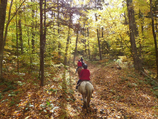 Mountain top inn riding horses