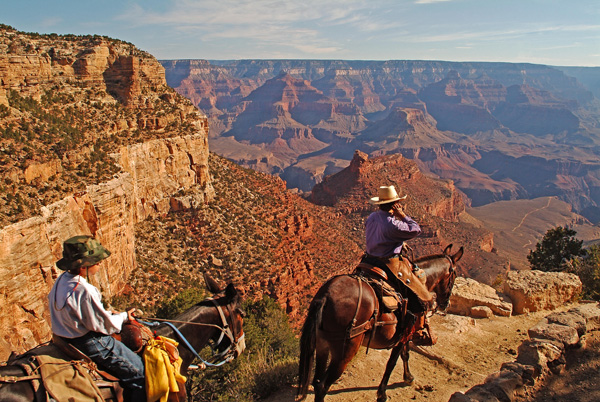 Mule ride Grand Canyon National Park