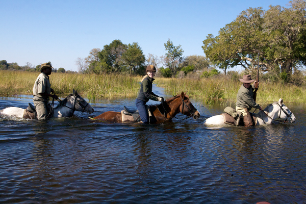 okavango equitrekking