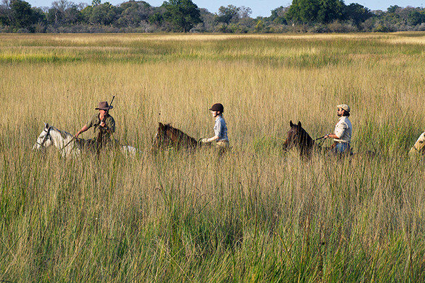 Okavango Delta Facebook 