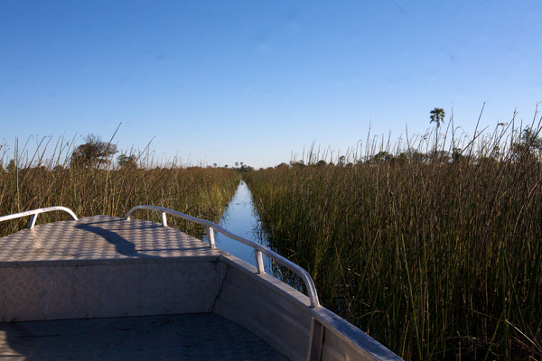 Okavango Delta boat