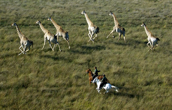 Okavango Delta, Botswana