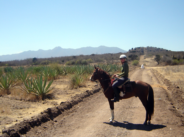 Oxaca horse riding