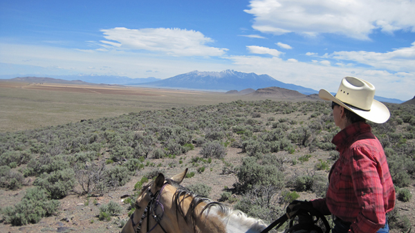 pat binger spotted horse ranch