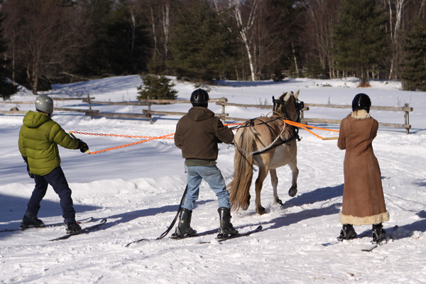 Pat Wolfe Skijoring Clinic Ontario