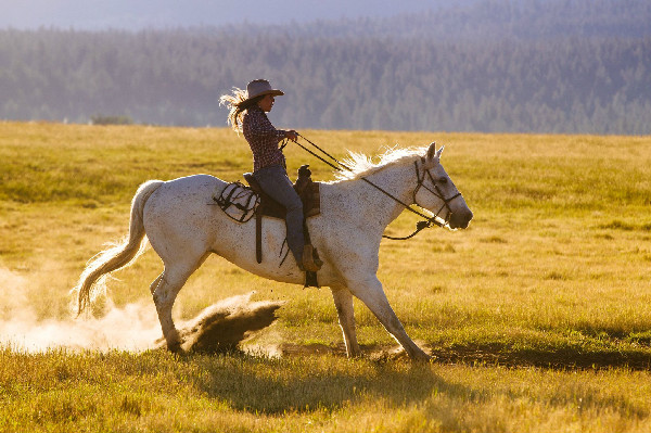 Paws Up horse riding Montana