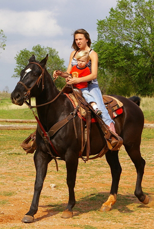 lake stanley draper oklahoma horseback