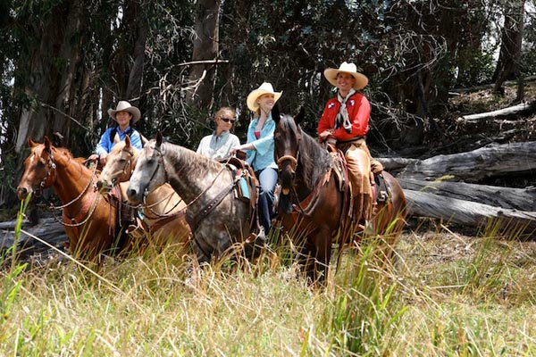 Piiholo Ranch horses