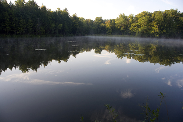 Pogue Lake horse trails