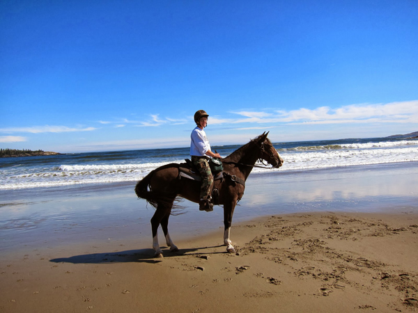 popham beach state park horseback riding beaches
