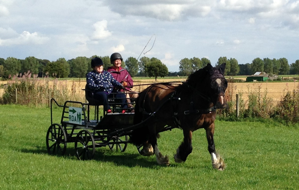 Riding for the Disabled Riding Holiday