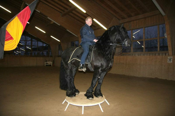 Ralf Schmitzer and horse on podium