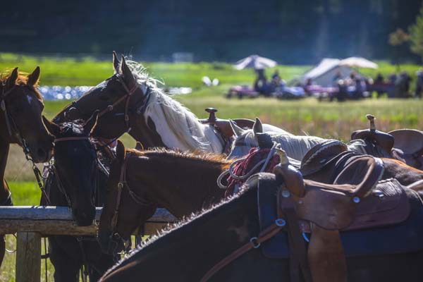 Ranch at Rock Creek Breakfast Ride Horses