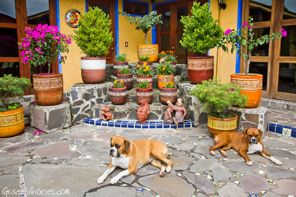 rancho las cascadas courtyard