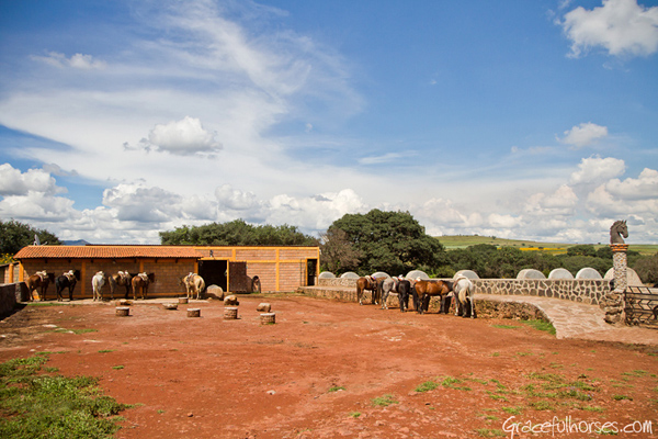 rancho las cascadas stables