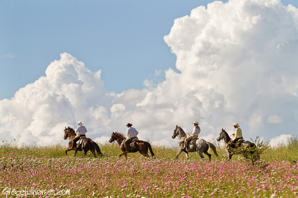 rancho las cascadas wranglers