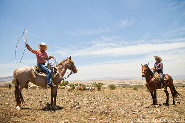 Rancho Xotolar mexico