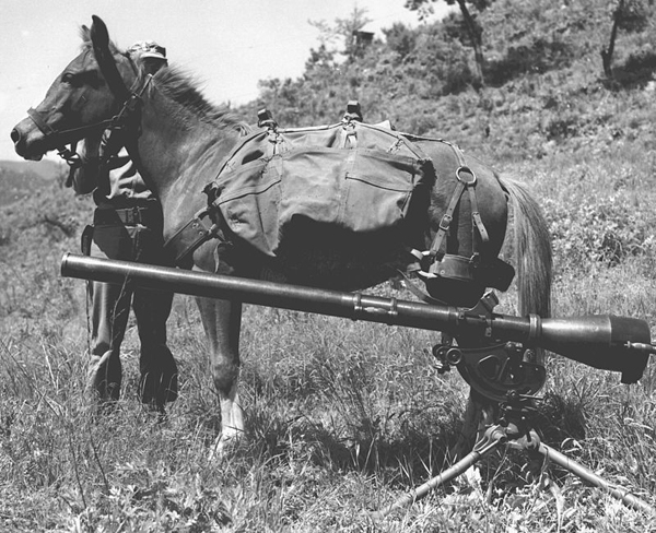 Reckless American Marine Corps Korean War