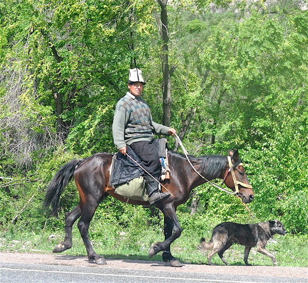 Rider in lush mountain_area_of_western Kyrghyzstan