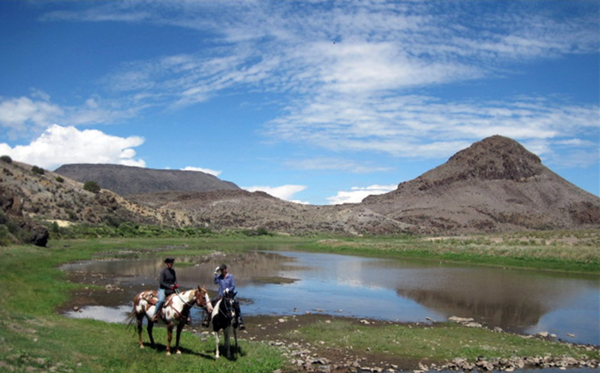 spotted horse ranch colorado ranch vacations