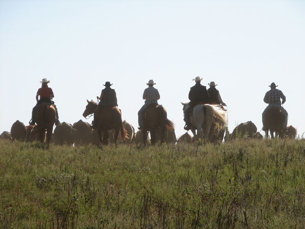 rowse ranch nebraska horseback