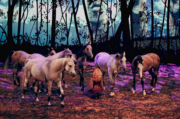 Sedentaire-cavalia-odysseo-dc