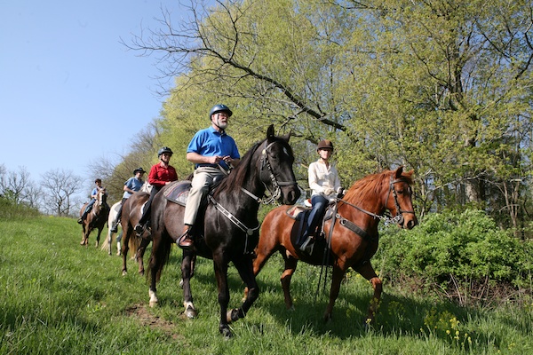 Shaker Village horse riding