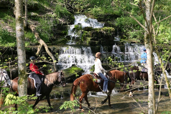 Shaker Village horse riding