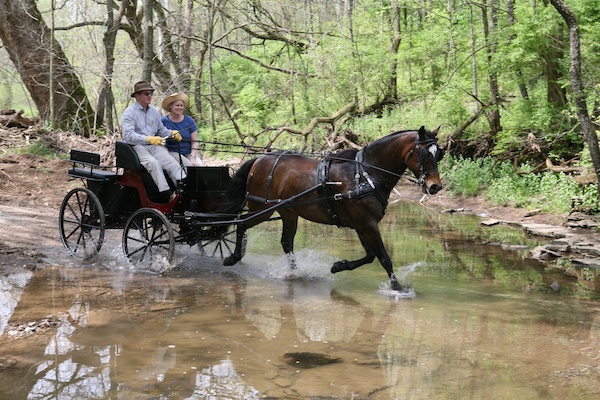 Shaker Village carriage drive