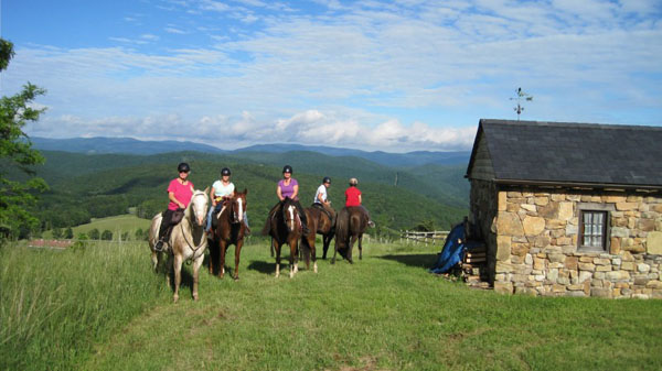 west virginia trail riding horses