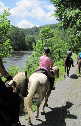 shalimar river horseback west virginia