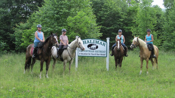 shalimar farm riding group west virginia