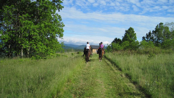 grassy trails horseback west virginia