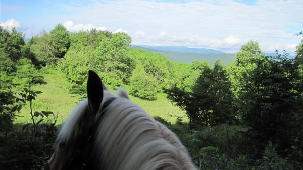 shalimar farm west virginia trail riding