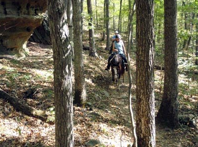 Shawnee National Forest illinois horseback riding