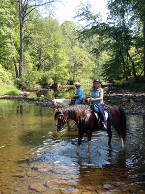 Shawnee National Forest illinois horseback riding