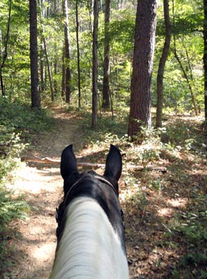 Shawnee National Forest illinois horse riding