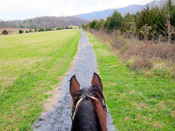 Shenandoah River State Park Horseback Riding