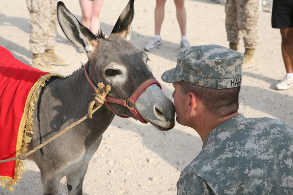 Smoke the Donkey Freedom Walk