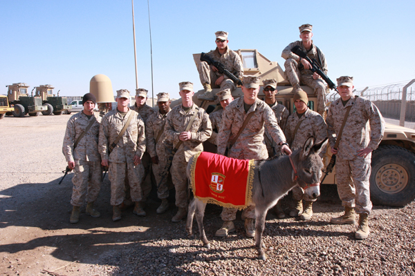 Smoke the Donkey Marines Camp 