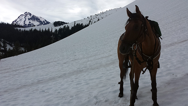 horse riding snow picture shows Takoda on 2014 in the Three Sisters area of Oregon