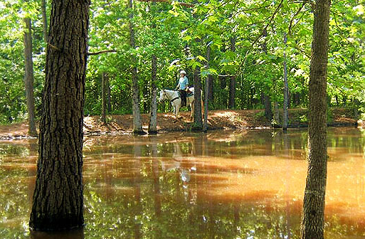 Southern Cross Guest Ranch horse riding unguided