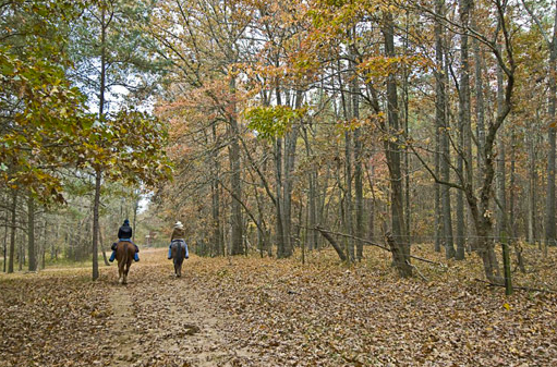 Southern Cross Guest Ranch horseback riding