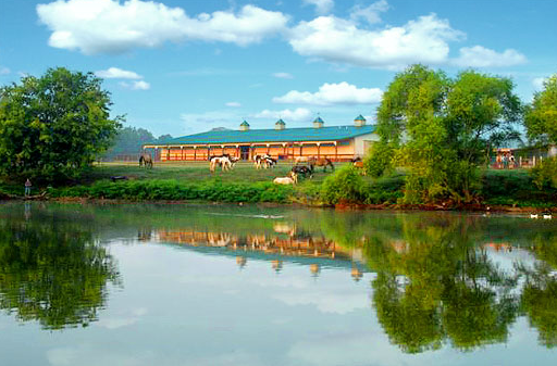 Southern Cross Guest Ranch stables