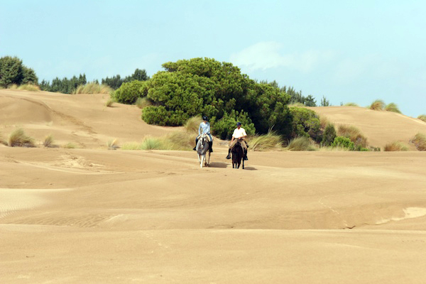 Donana National Park, Spain