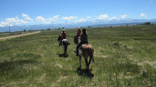 spotted horse ranch colorado horseback